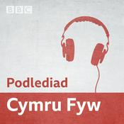 Podcast Podlediad Cymru Fyw